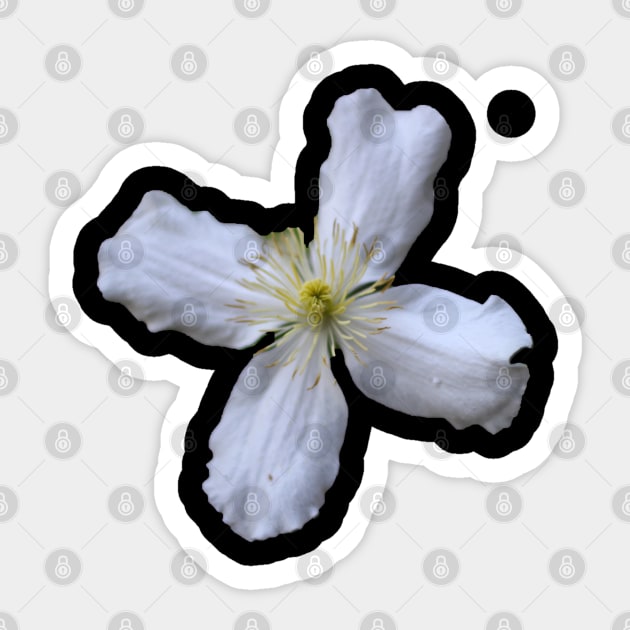 flower Sticker by rickylabellevie